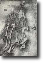 Pohřeb muže i s koněm